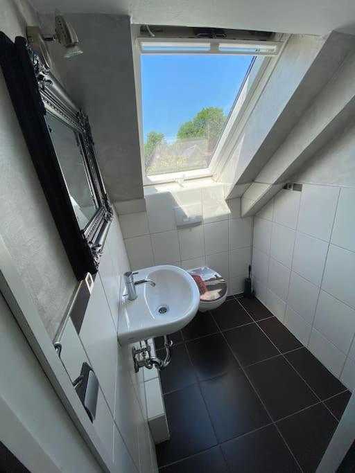 Ferien-villa Direkt Am Rhein Sauna/whirlpool Gotterswickerhamm