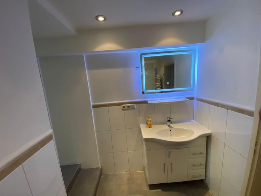 Ferien-villa Direkt Am Rhein Sauna/whirlpool *
