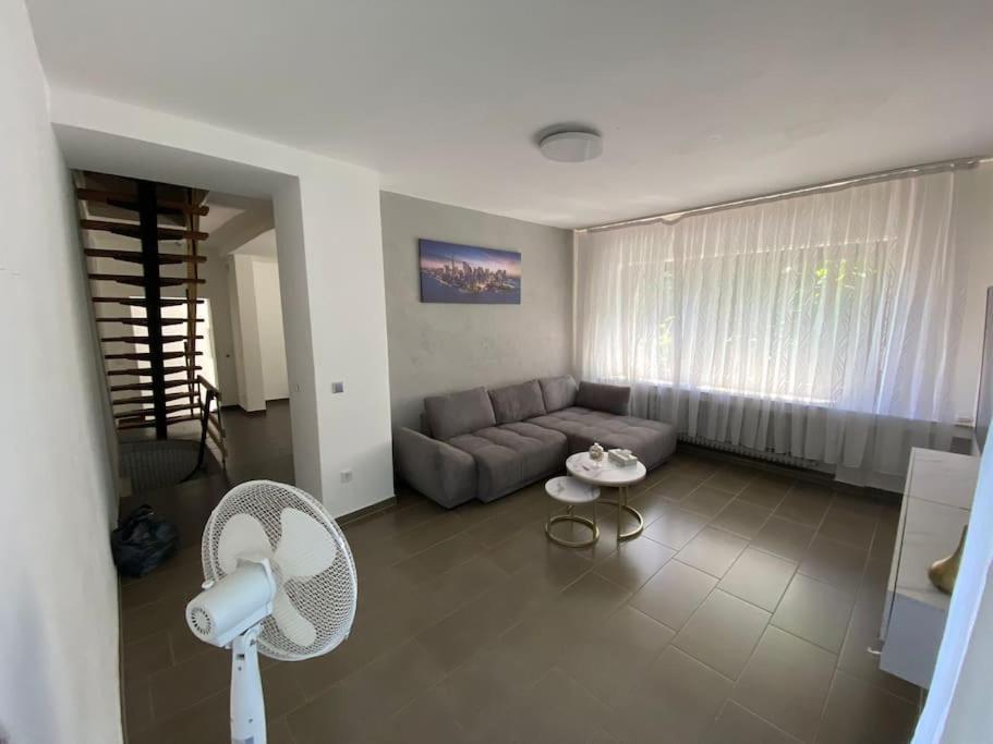 Villa Ferien-villa Direkt Am Rhein Sauna/whirlpool